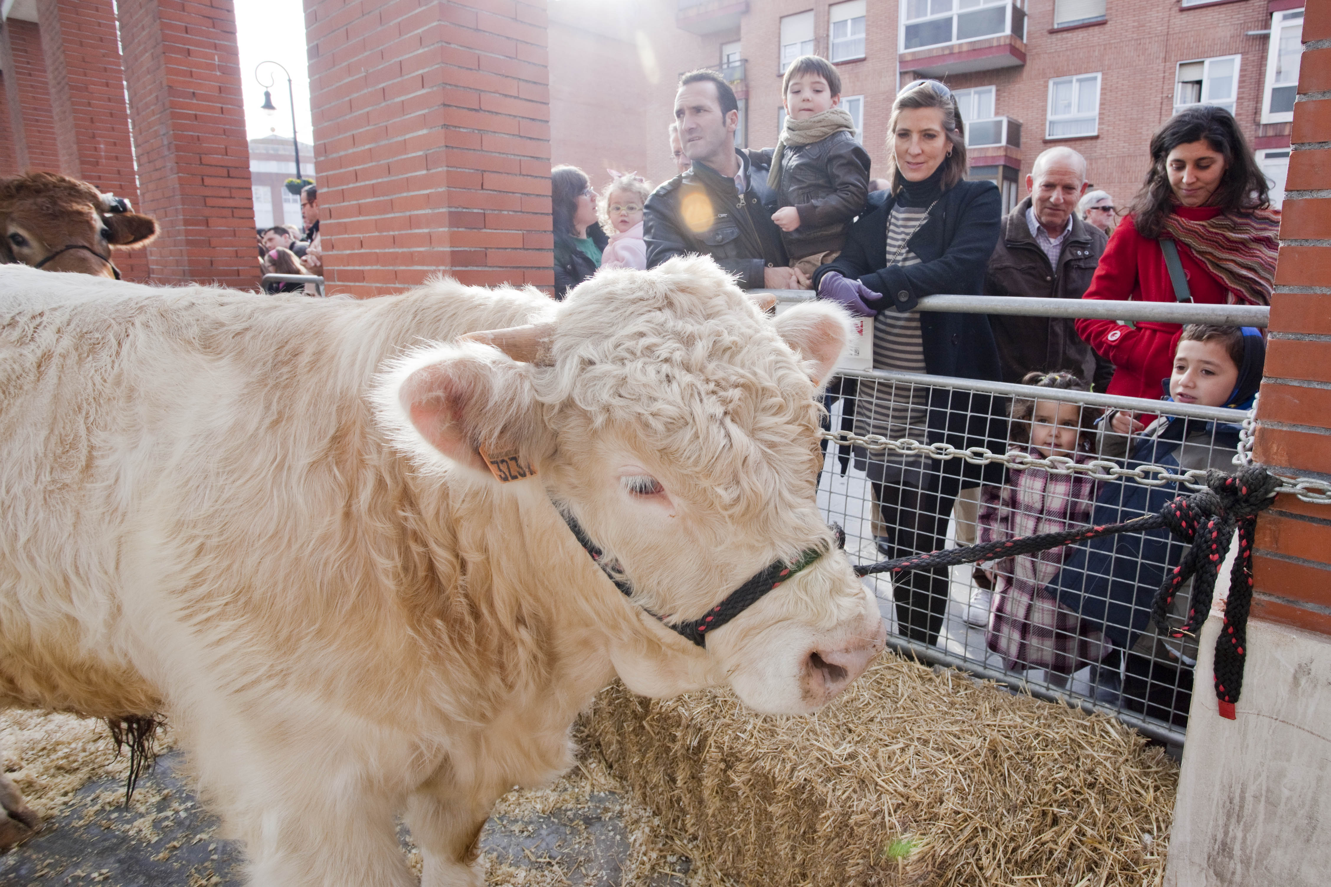 Feria Agrícola / Nekazaritza Azoka