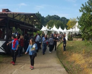 Feria de plantas. / Landareen azoka.