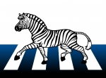 zebra